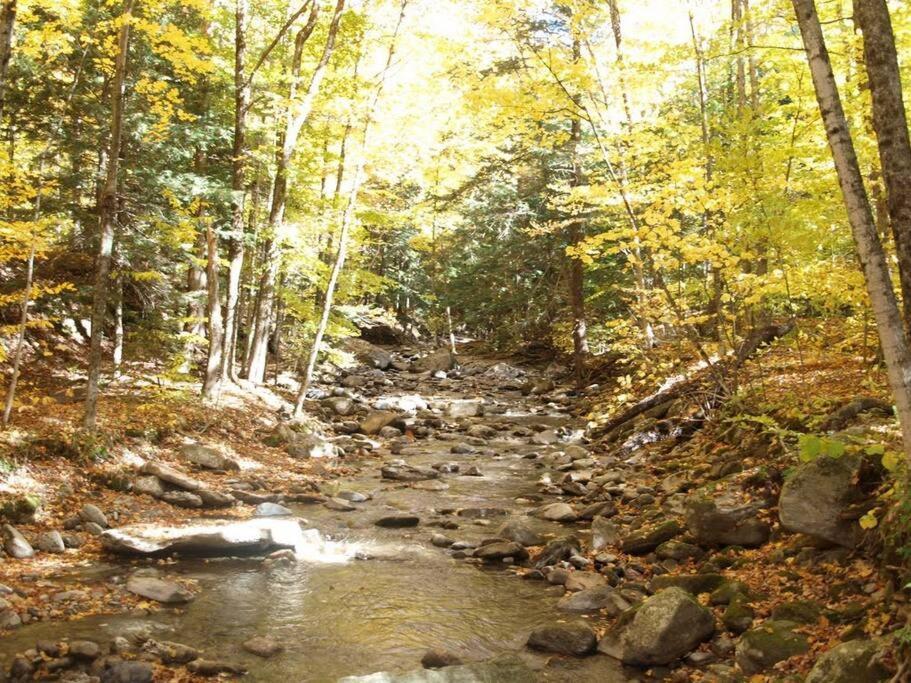 Cabin Sutton 252 - En Harmonie Avec La Nature! Villa ภายนอก รูปภาพ