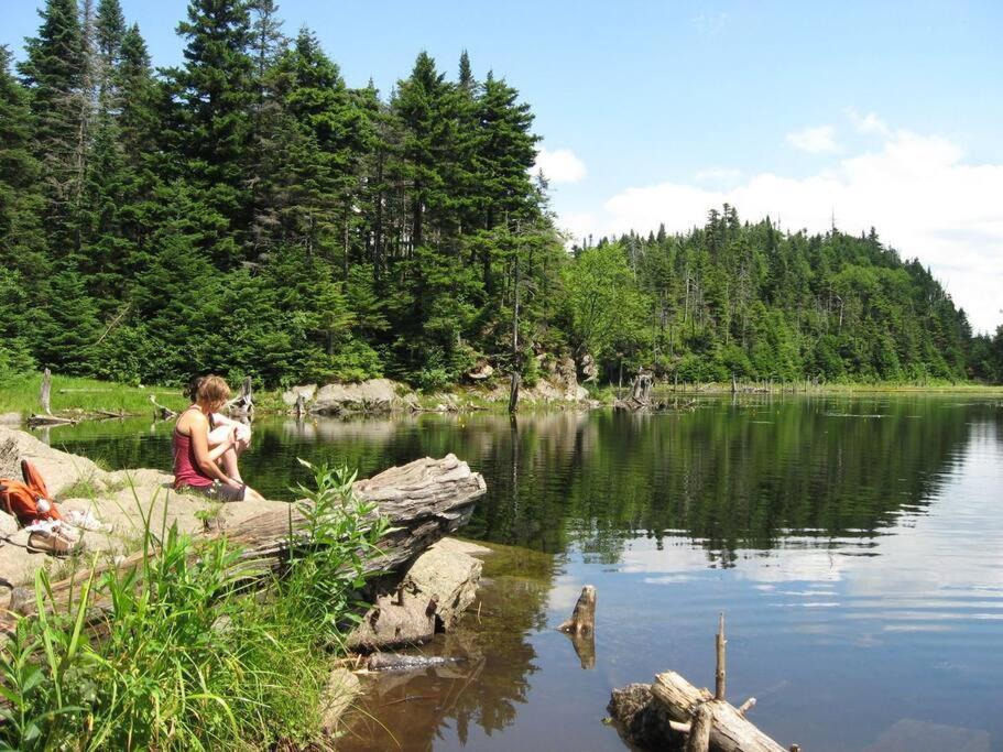 Cabin Sutton 252 - En Harmonie Avec La Nature! Villa ภายนอก รูปภาพ
