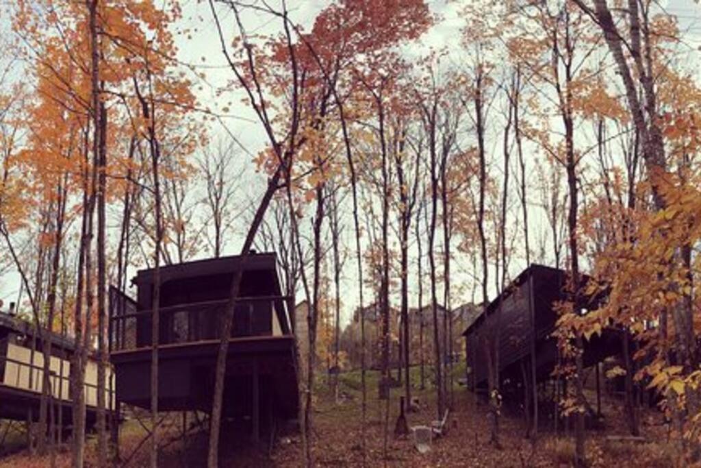 Cabin Sutton 252 - En Harmonie Avec La Nature! Villa ภายนอก รูปภาพ